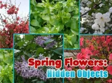 Spring Flowers: Hidden Objects